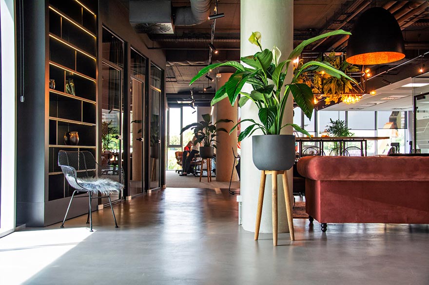 pametnebrave.rs workspace one